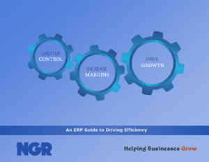 An ERP Guide to Driving Efficiency