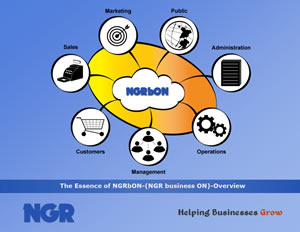 The Essence of NGRbON - An Overview