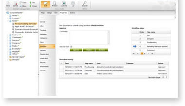 CMS with Workflow
