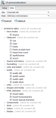 user interface personalization WYSIWYG editor
